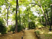 どんぐり山公園