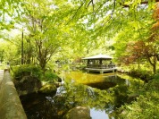 井草森公園 