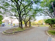 世田谷区立希望丘記念公園