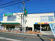 マルエツ飛田給店