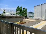 府中市立府中第十小学校