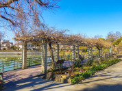 碑文谷公園