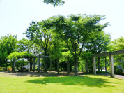 うさぎさん公園