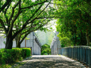 稲城中央公園
