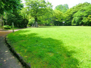連光寺公園