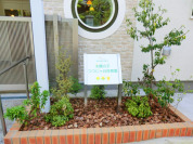 太陽の子つつじヶ丘保育園