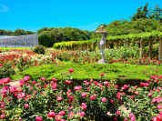 神代植物公園
