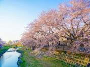 野川公園