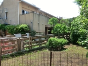 わらしこ保育園