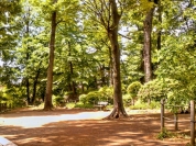 世田谷城阯公園