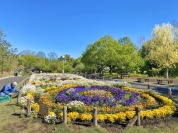 蘆花恒春園