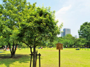 中目黒公園