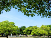 府中市 郷土の森公園