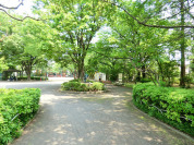 小柳公園