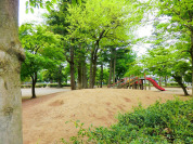 森林公園
