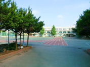 滝野川第五小学校