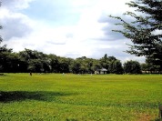 柏の宮公園 