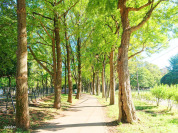 城北中央公園