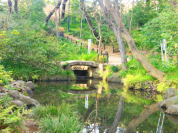 おとめ山公園
