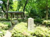 下落合野鳥の森公園