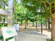 西戸山公園