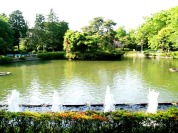 杉並区立妙正寺公園