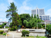 砧町公園