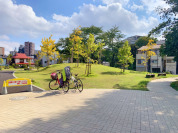 豊島区立雑司が谷公園