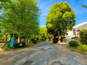 東京都立上野恩賜公園