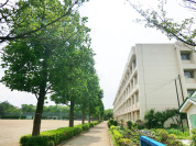 多摩市立聖ヶ丘中学校