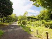 都立祖師谷公園