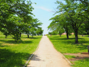 東京都立狭山自然公園