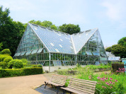 東京都薬用植物園