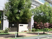 港区立南青山保育園
