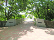 多摩東公園