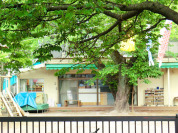 愛の園保育園