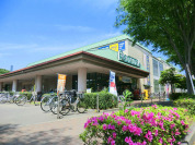 大丸ピーコック東小金井店