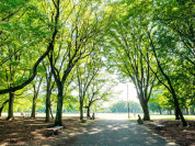 小金井公園