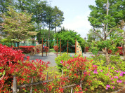 モッコク公園