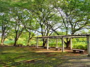 武蔵野公園