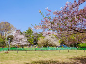 菅刈公園