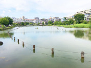 小池公園