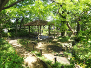 蘇峰公園
