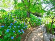 多摩川台公園