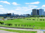 多摩川緑地