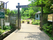 山王花清水公園