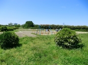 多摩川玉川公園