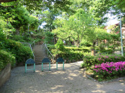 千鳥いこい公園