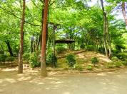 国分寺市立けやき公園