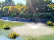 都立武蔵国分寺公園